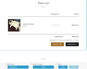 Customize cart and checkout
